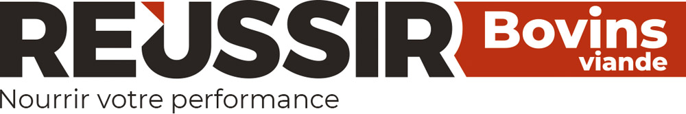 Logo Réussir Bovins Viande