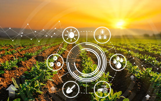 Une image du sol avec une mise en page d'icônes illustrant les enjeux de la filière agricole