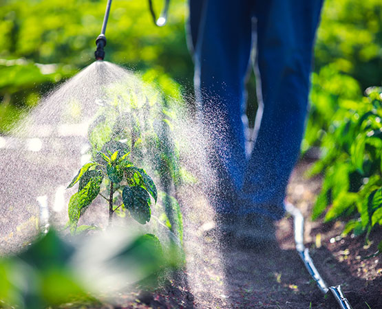 un agriculteur diffuse un produit sur sa parcelle