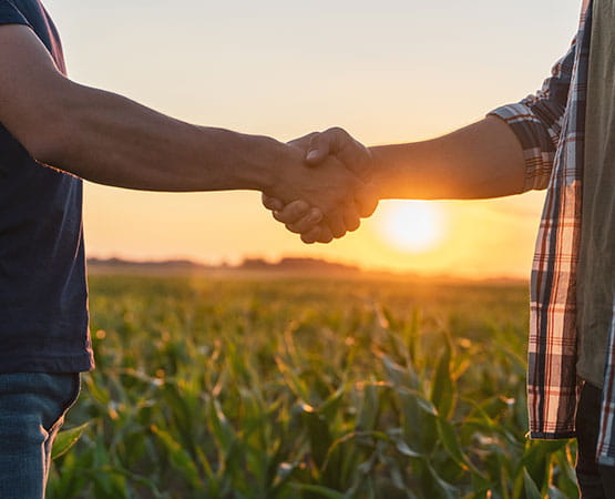 Two business partners shake hands with a background shot of a field