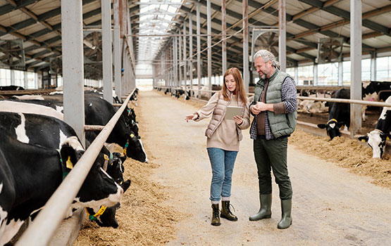 On voit un agriculteur avec un contact expliquer l'installation innovante dans sa stabulation reliée à de la data