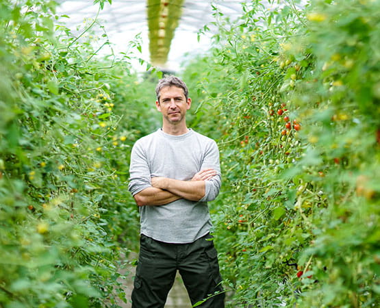 Un agriculteur est en tenue de travail dans sa serre