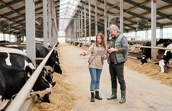 Une agricultrice et un agriculteur échangent à propos du travail dans une étable
