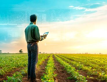 Agriculteur utilisant une tablette connectée dans un champ au lever du soleil, symbolisant l’intelligence agricole et l’innovation numérique.