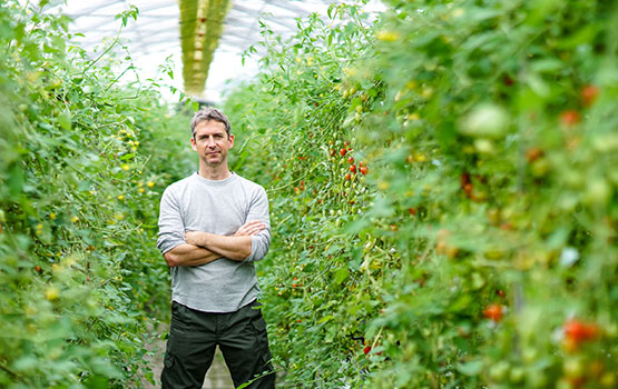 Un agriculteur qui se tient fièrement devant ses cultures dans une serre